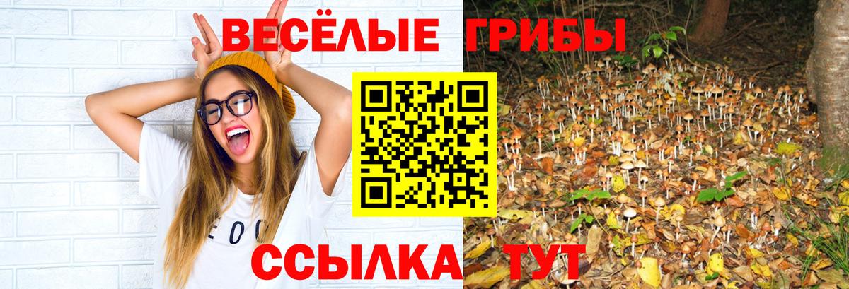 Галлюциногенные грибы Cubensis  Галлюциногенные грибы Magic Shrooms  Чайковский  Вход с VPN 