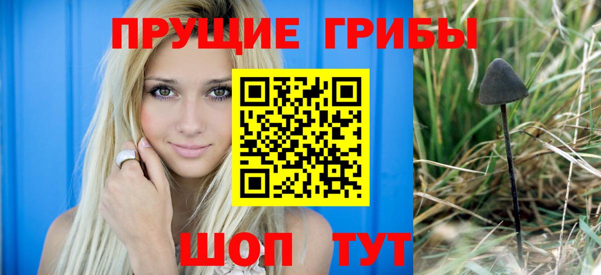 Галлюциногенные грибы прущие грибы Чайковский